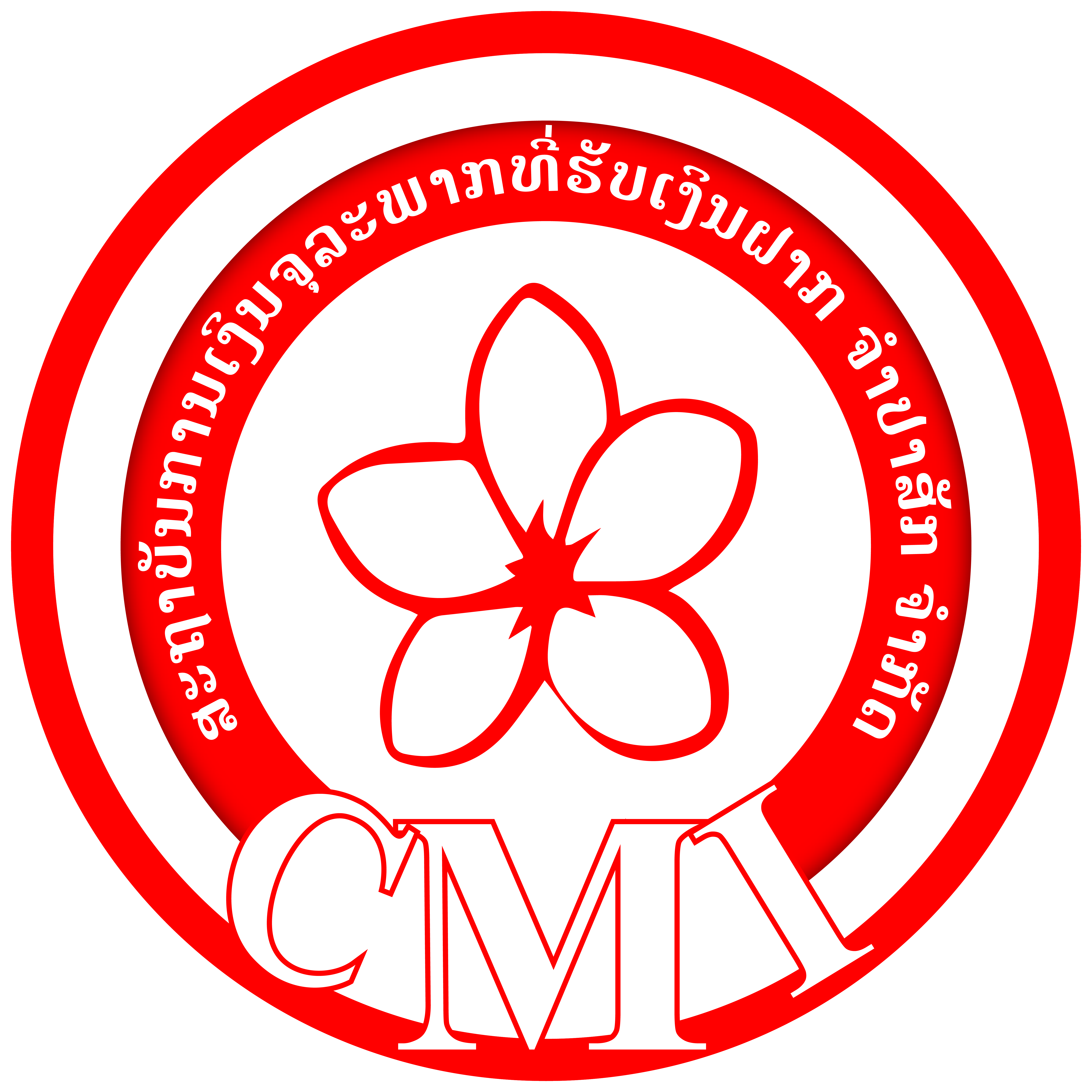 CMI Logo